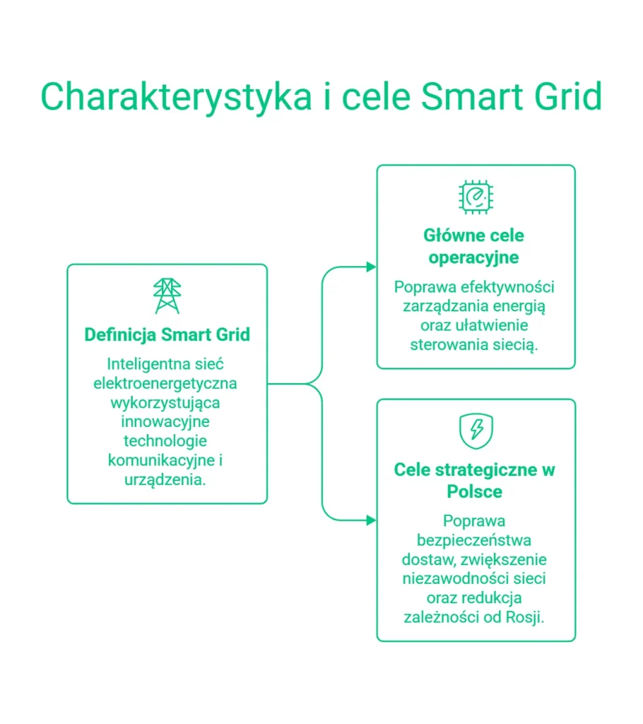 Smart Grid w Polsce