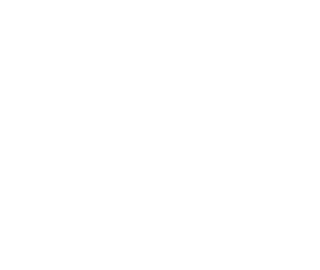 zaufali_noven