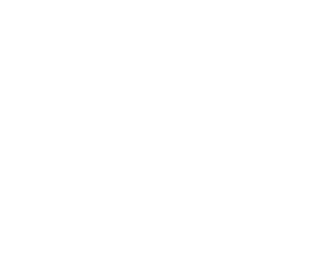 zaufali_zib